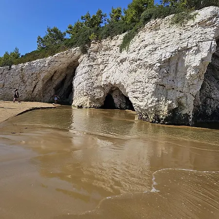Azienda Agricola Gentile - La Casa Degli Ulivi * Vieste