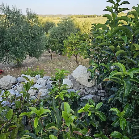 Country house Azienda Agricola Gentile - La Casa Degli Ulivi