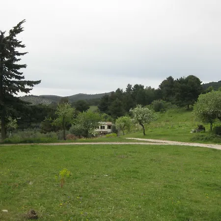Azienda Agricola Gentile - La Casa Degli Ulivi Vieste