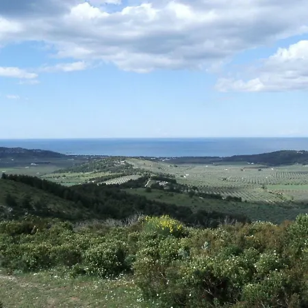 Azienda Agricola Gentile - La Casa Degli Ulivi